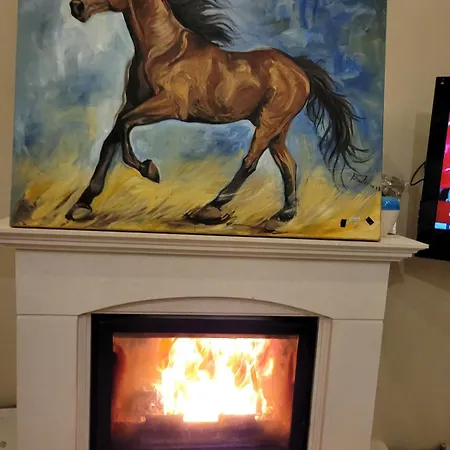 F Celik Villalari 别墅 *